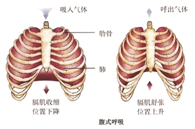 &#21338;&#40060;&#20307;&#32946;&#40;&#20013;&#22269;&#41;&#23448;&#26041;&#32593;&#31449;&#45;&#30331;&#24405;&#20837;&#21475;