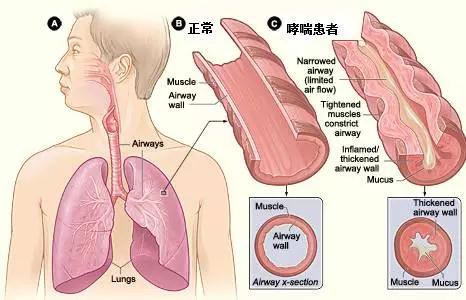 &#21338;&#40060;&#20307;&#32946;&#40;&#20013;&#22269;&#41;&#23448;&#26041;&#32593;&#31449;&#45;&#30331;&#24405;&#20837;&#21475;