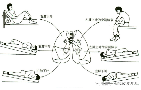 &#21338;&#40060;&#20307;&#32946;&#40;&#20013;&#22269;&#41;&#23448;&#26041;&#32593;&#31449;&#45;&#30331;&#24405;&#20837;&#21475;