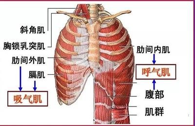 &#21338;&#40060;&#20307;&#32946;&#40;&#20013;&#22269;&#41;&#23448;&#26041;&#32593;&#31449;&#45;&#30331;&#24405;&#20837;&#21475;