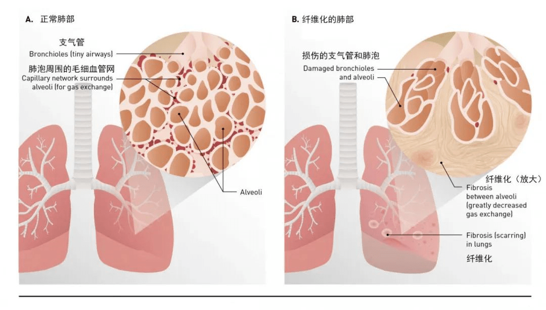 &#21338;&#40060;&#20307;&#32946;&#40;&#20013;&#22269;&#41;&#23448;&#26041;&#32593;&#31449;&#45;&#30331;&#24405;&#20837;&#21475;