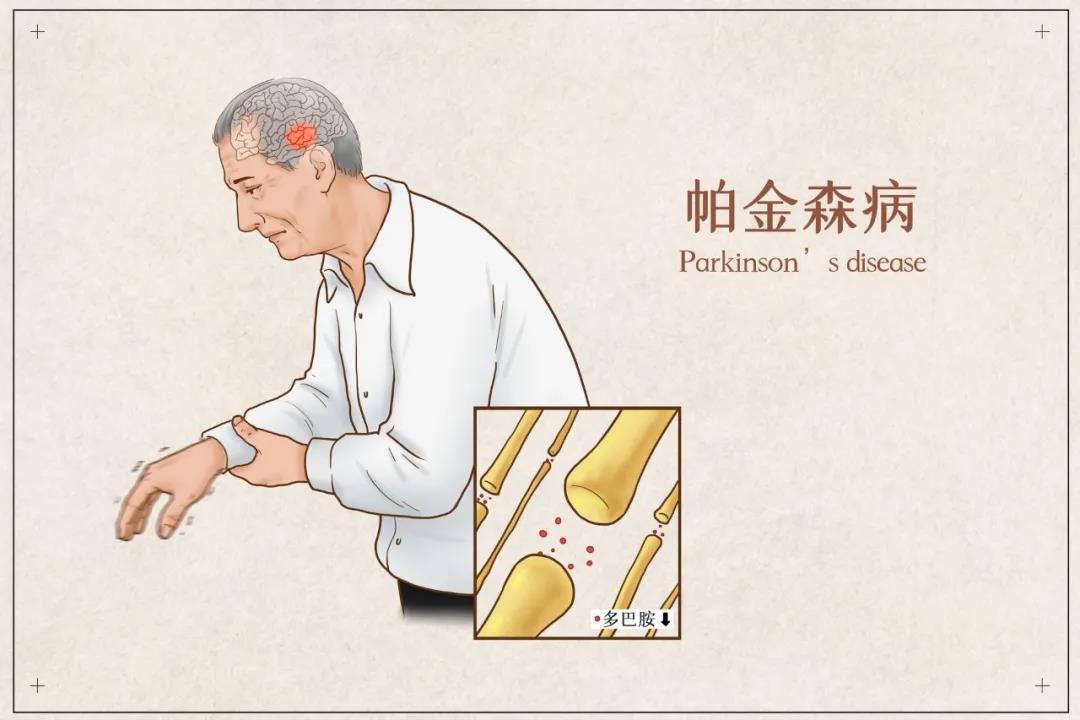 &#21338;&#40060;&#20307;&#32946;&#40;&#20013;&#22269;&#41;&#23448;&#26041;&#32593;&#31449;&#45;&#30331;&#24405;&#20837;&#21475;