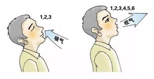 &#21338;&#40060;&#20307;&#32946;&#40;&#20013;&#22269;&#41;&#23448;&#26041;&#32593;&#31449;&#45;&#30331;&#24405;&#20837;&#21475;