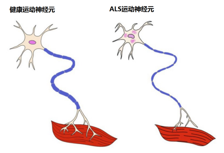 &#21338;&#40060;&#20307;&#32946;&#40;&#20013;&#22269;&#41;&#23448;&#26041;&#32593;&#31449;&#45;&#30331;&#24405;&#20837;&#21475;