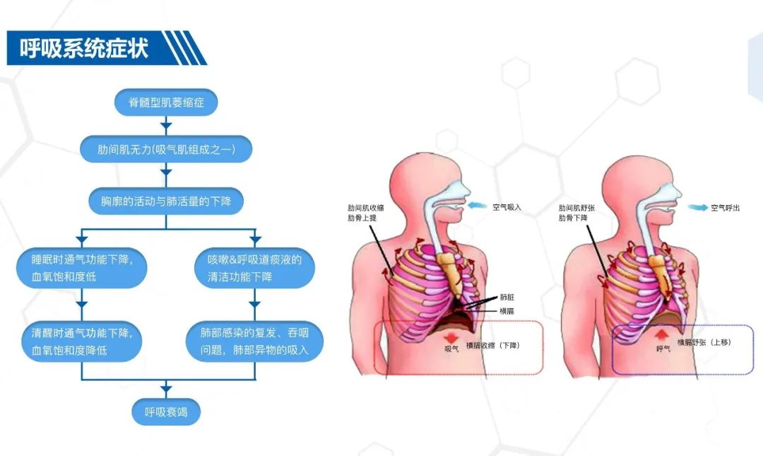 &#21338;&#40060;&#20307;&#32946;&#40;&#20013;&#22269;&#41;&#23448;&#26041;&#32593;&#31449;&#45;&#30331;&#24405;&#20837;&#21475;
