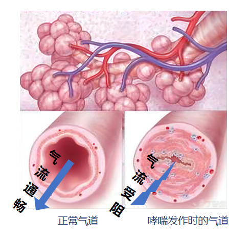 &#21338;&#40060;&#20307;&#32946;&#40;&#20013;&#22269;&#41;&#23448;&#26041;&#32593;&#31449;&#45;&#30331;&#24405;&#20837;&#21475;