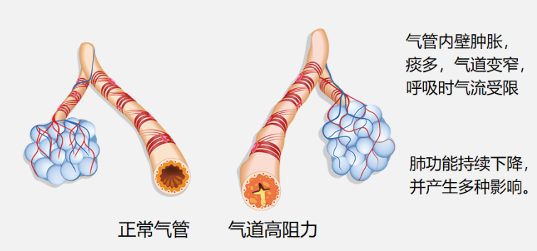 &#21338;&#40060;&#20307;&#32946;&#40;&#20013;&#22269;&#41;&#23448;&#26041;&#32593;&#31449;&#45;&#30331;&#24405;&#20837;&#21475;